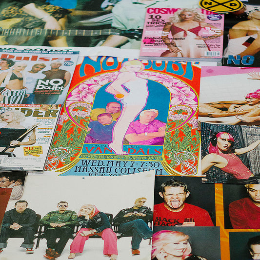 No Doubt magazine clippings and posters that created wallpaper that covered the walls of my bedroom.